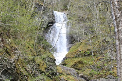 Uisge Bàn Falls Provincial Park - 20 minutes from B & B