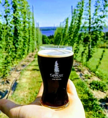 Big Spruce Brewing - 15 minutes from B & B